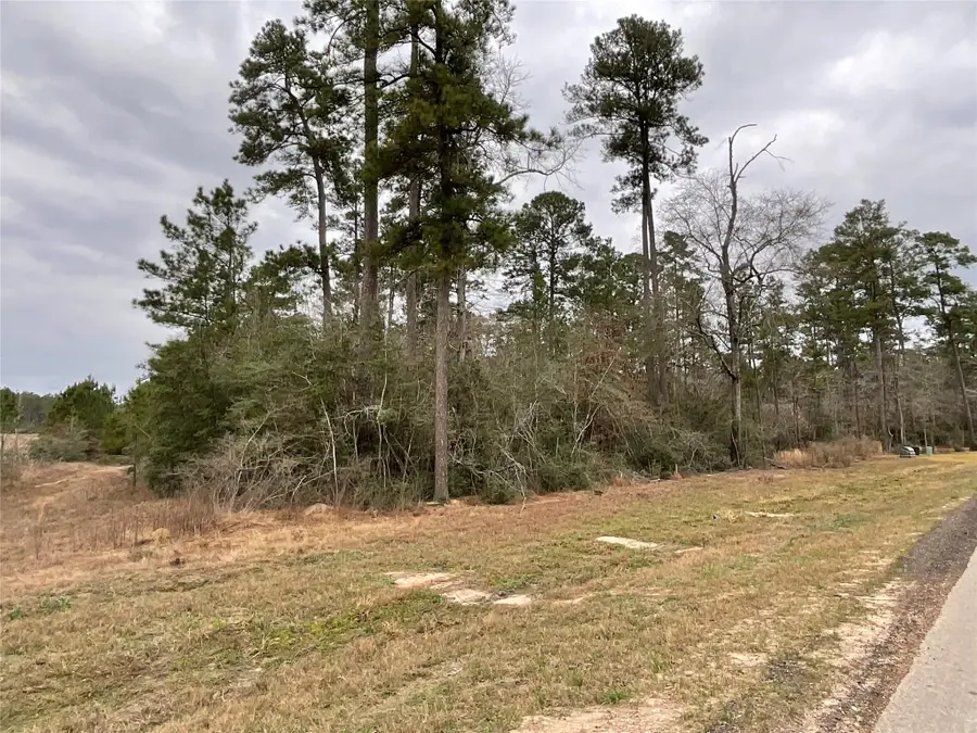 15877 Four Hills Road, Willis, TX 77378 - #3