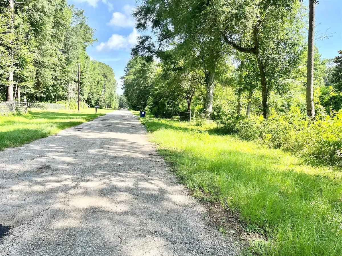 TBD Bitter Creek Drive, Shepherd, TX 77371 - #1