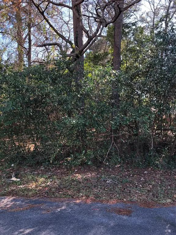 389 Live Oak, Trinity, TX 75862