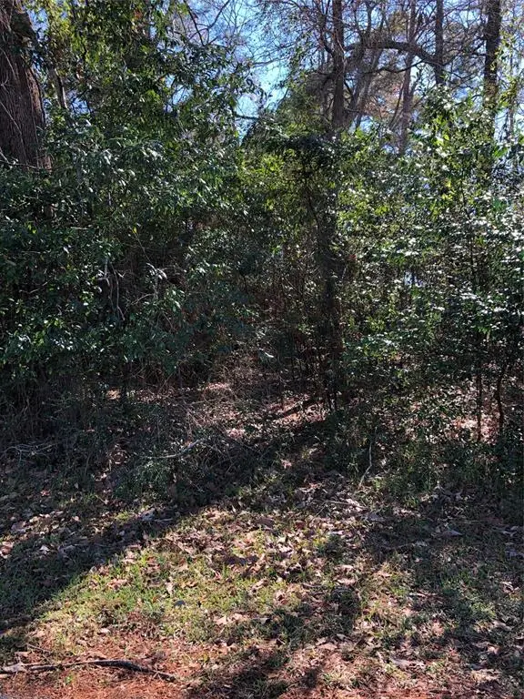 389 Live Oak, Trinity, TX 75862 - Image #2