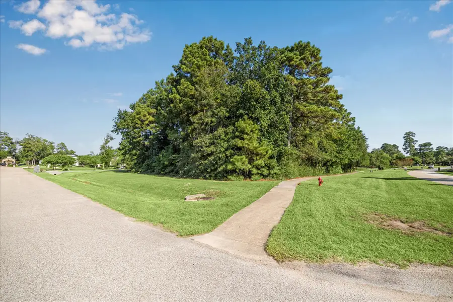 4502 Siandra Creek Court, Spring, TX 77386 - Image #3