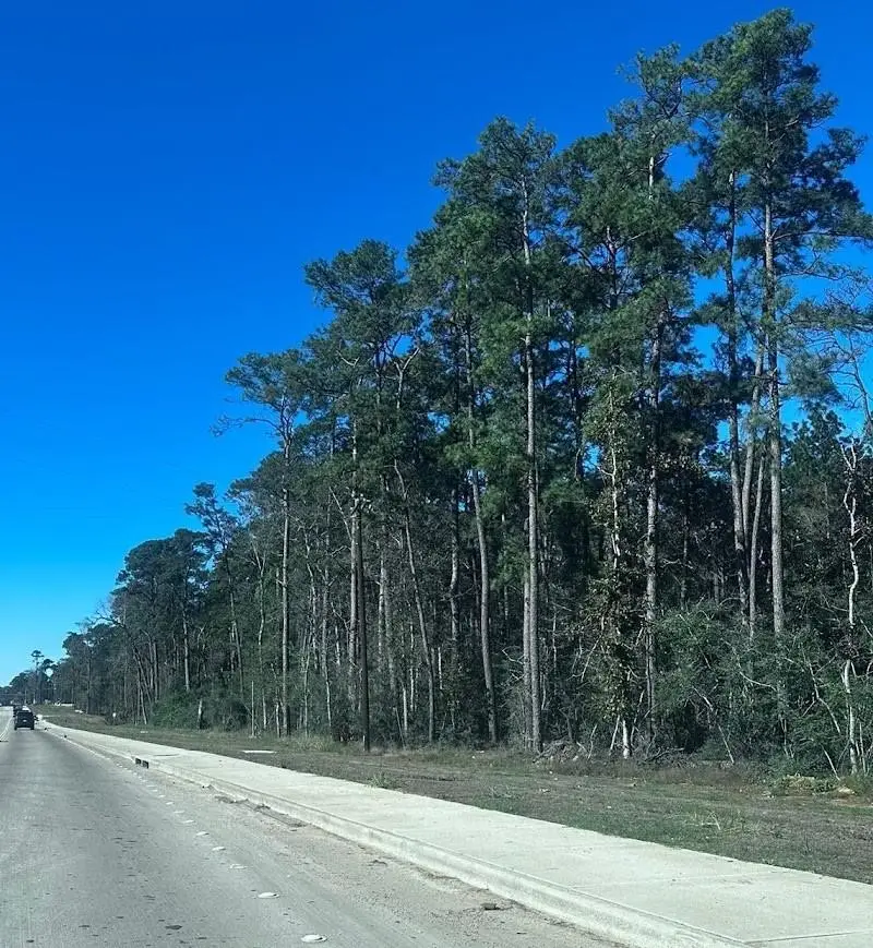 15909 Highway 105 E, Conroe, TX 77306 - #1
