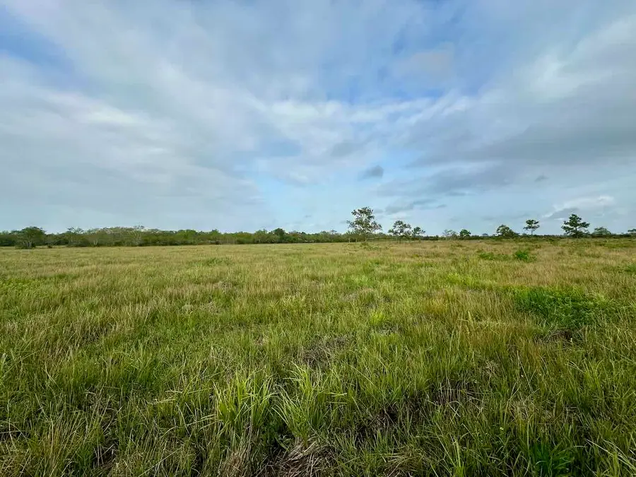 6742 Eagle Rd, Anahuac, TX 77514 - Image #2