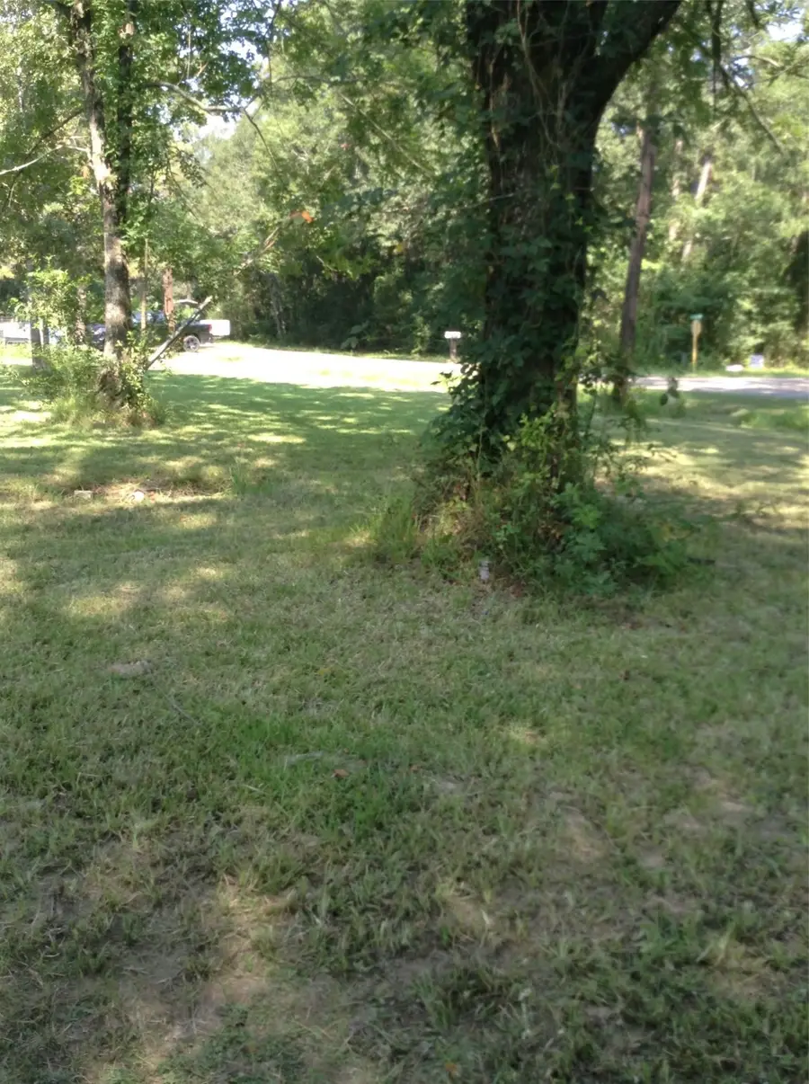 26340 Blackberry Lane, New Caney, TX 77357 - Image #2