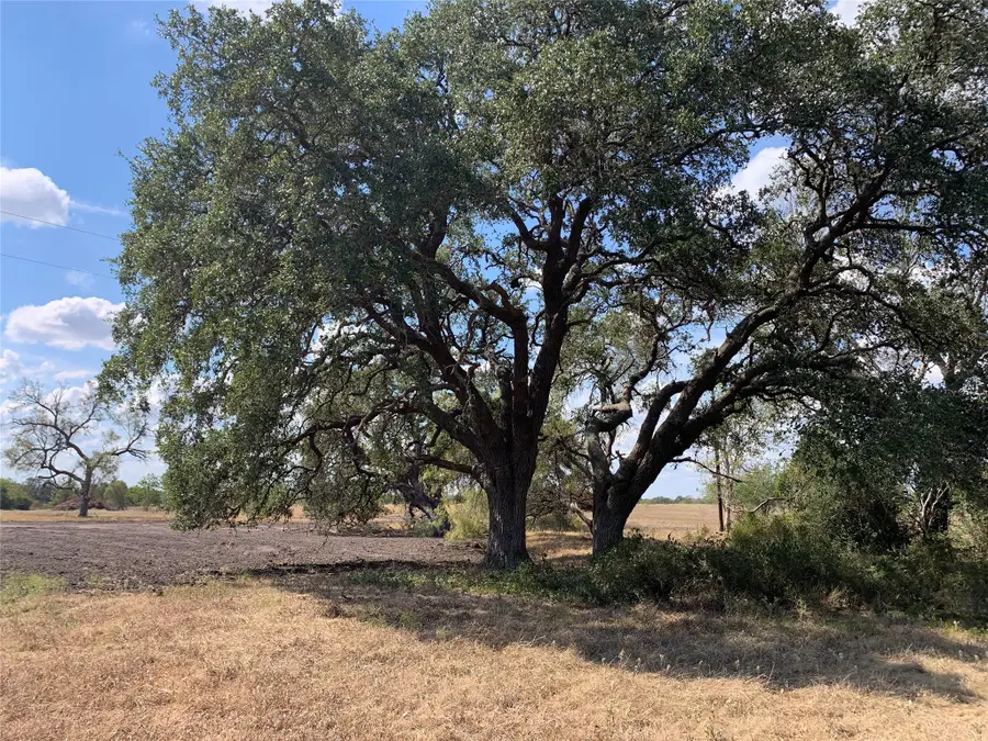 TBD3 Farm To Market Road 532, Weimar, TX 78962 - Image #3