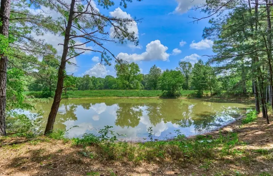 22930 Sharpwest Trail, Montgomery, TX 77316 - #2