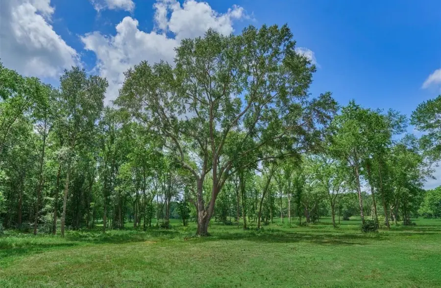 22930 Sharpwest Trail, Montgomery, TX 77316 - #3