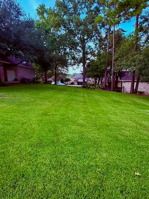 132 Winthrop Harbor South, Montgomery, TX 77356 - Image #3