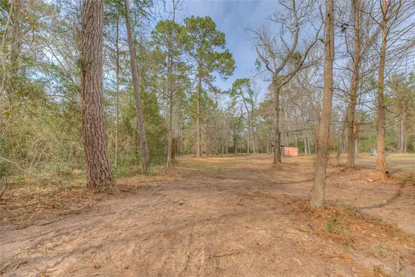 180 Beechcreek Wood, Livingston, TX 77351