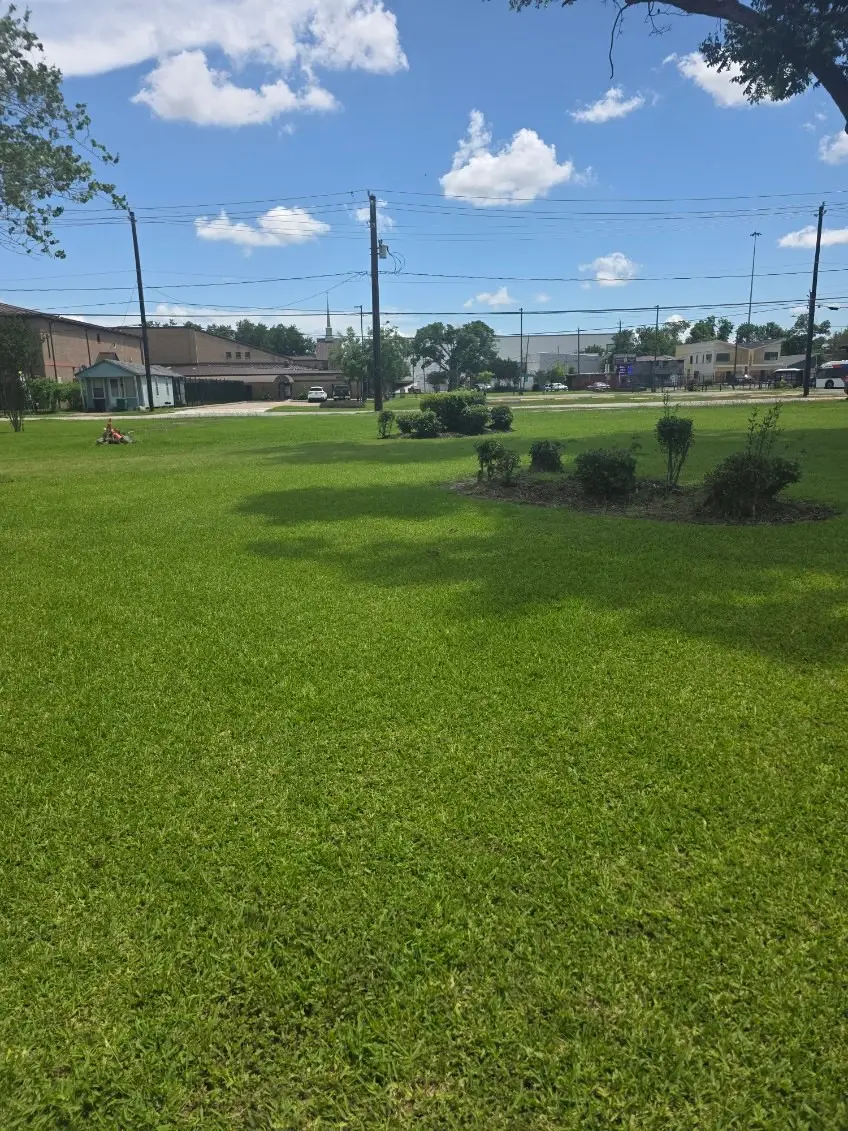 0 N Main And 0 Main Street Street, Houston, TX 77022 - #2