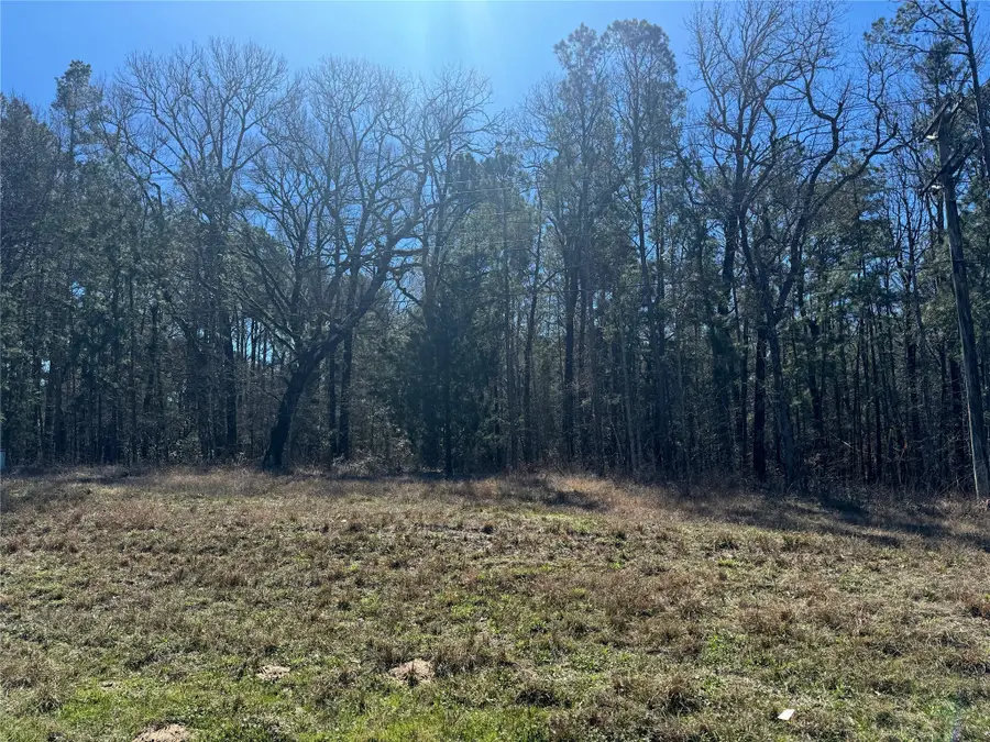 TBD Us 190, Point Blank, TX 77364 - Image #3