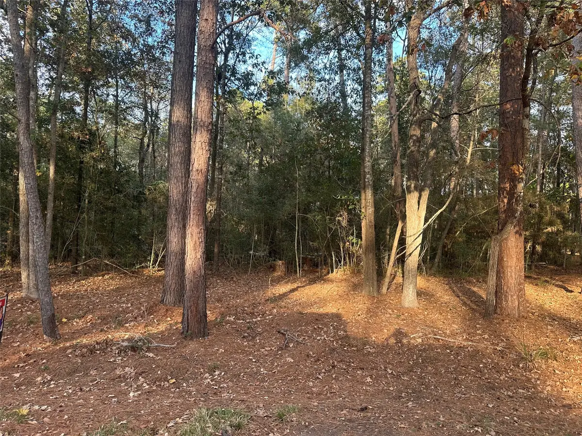 TBD Wood Forest Lane, Huntsville, TX 77340 - Image #1