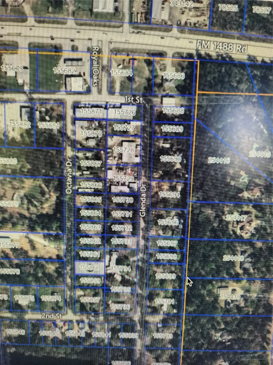 33014 Octavia Drive, Magnolia, TX 77354 - #3