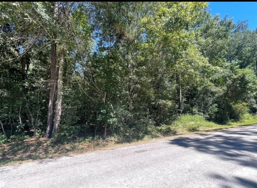 000 County Road 3669, Splendora, TX 77372 - #2
