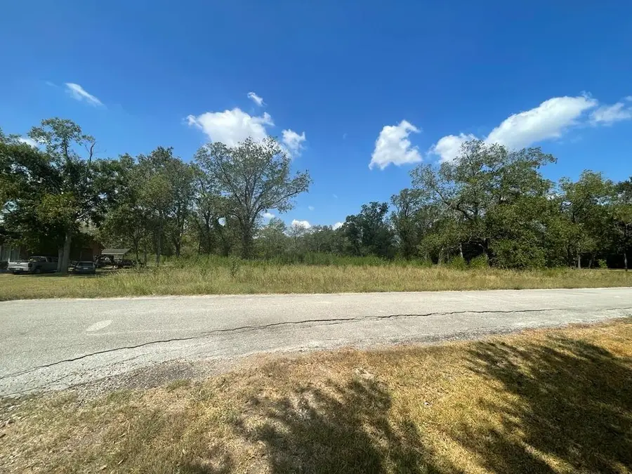 0 Carroll Road, Richmond, TX 77469 - Image #2