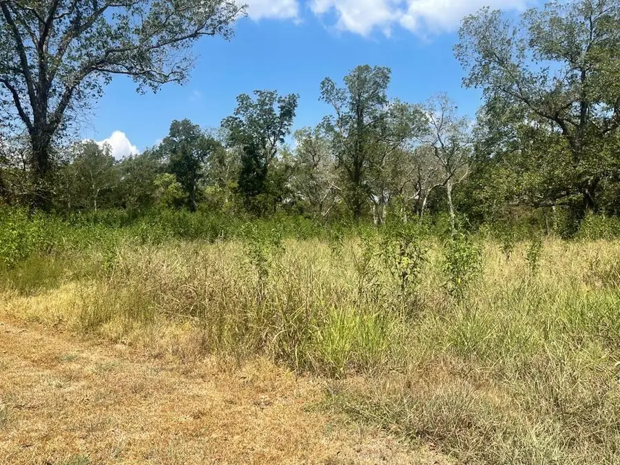 0 Carroll Road, Richmond, TX 77469 - Image #3
