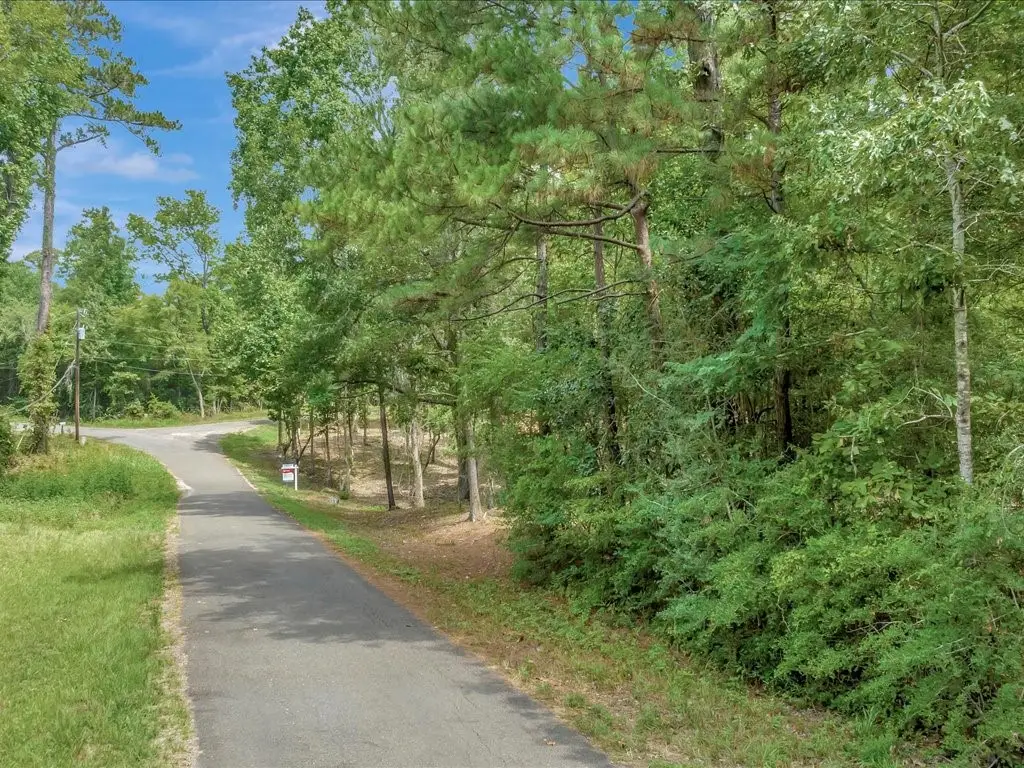 TBD Commodore And Brame Drive, Livingston, TX 77351 - #1