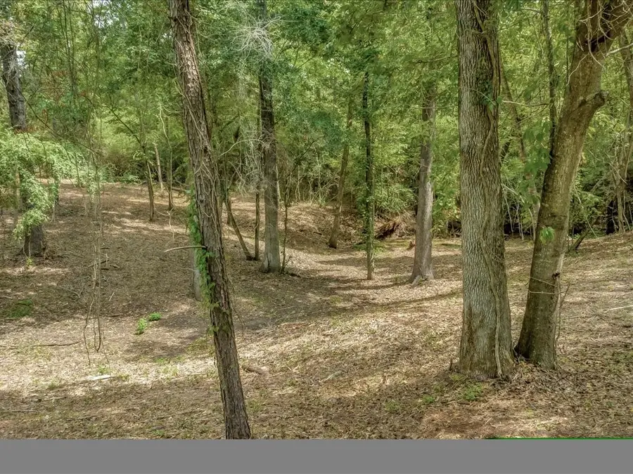 TBD Commodore And Brame Drive, Livingston, TX 77351 - #2