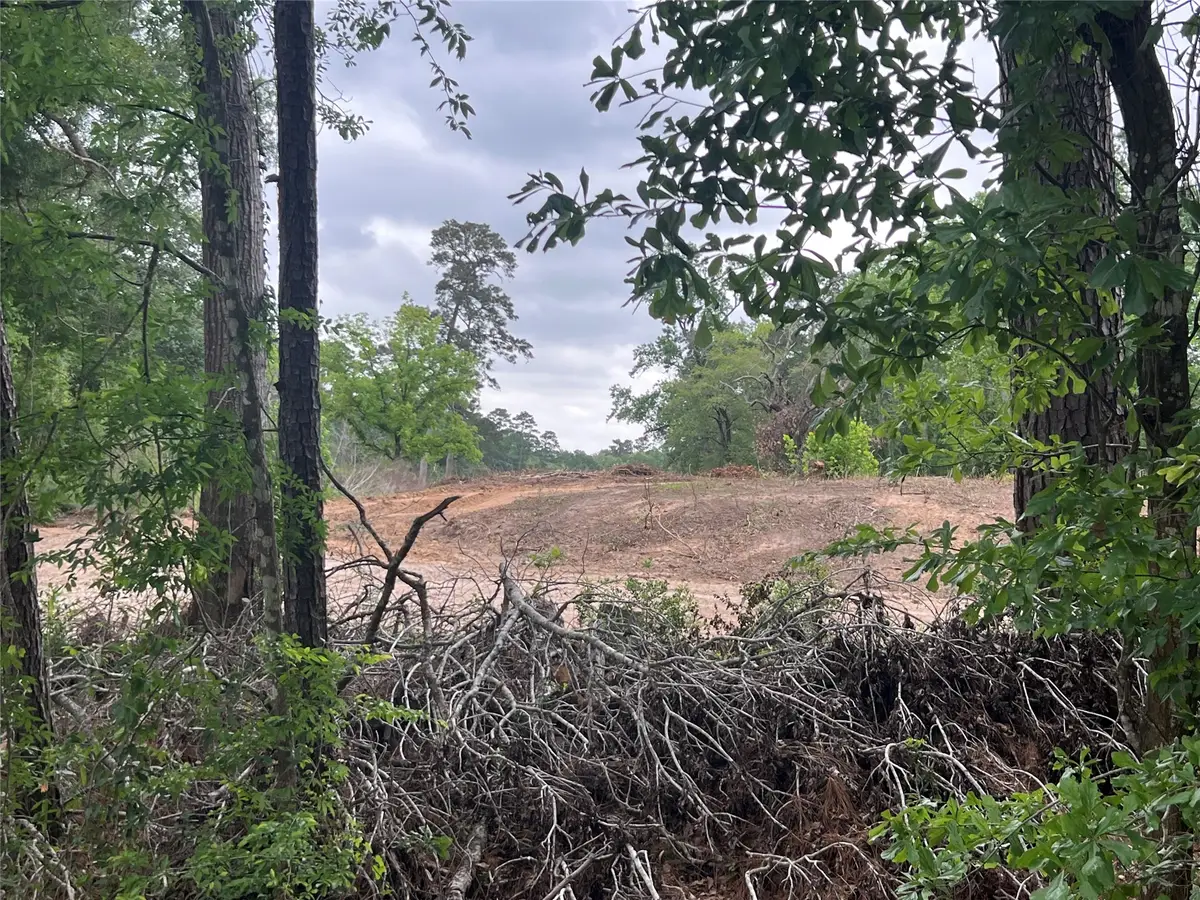 48 Robert E Lee Drive, Conroe, TX 77302 - #1