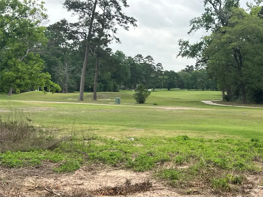 48 Robert E Lee Drive, Conroe, TX 77302 - #2