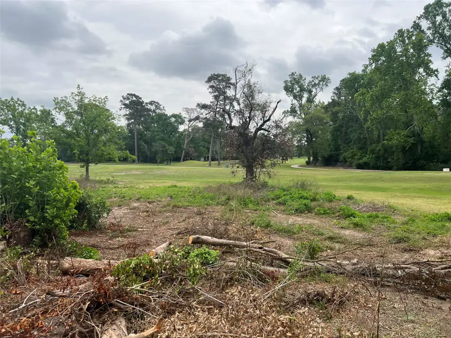 48 Robert E Lee Drive, Conroe, TX 77302 - #3