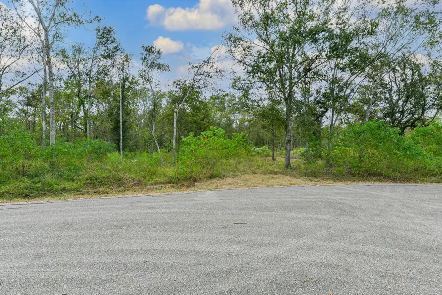 0 Live Oak St, Damon, TX 77430 - Image #3