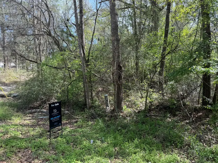 TBD Walker Drive, Conroe, TX 77303 - #2