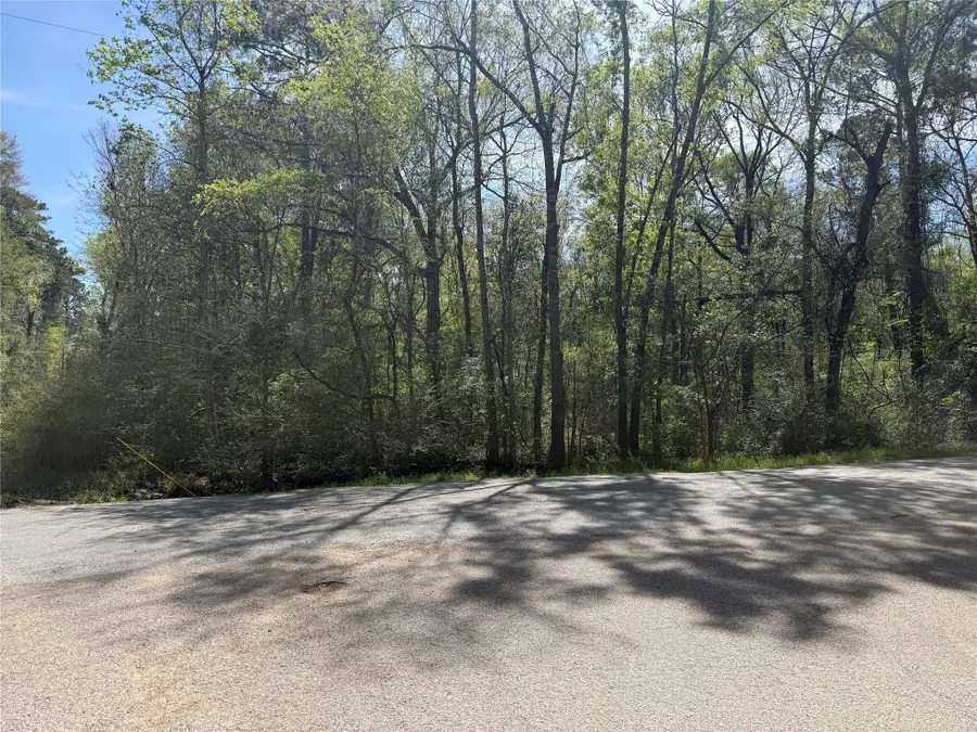 TBD Walker Drive, Conroe, TX 77303 - #3