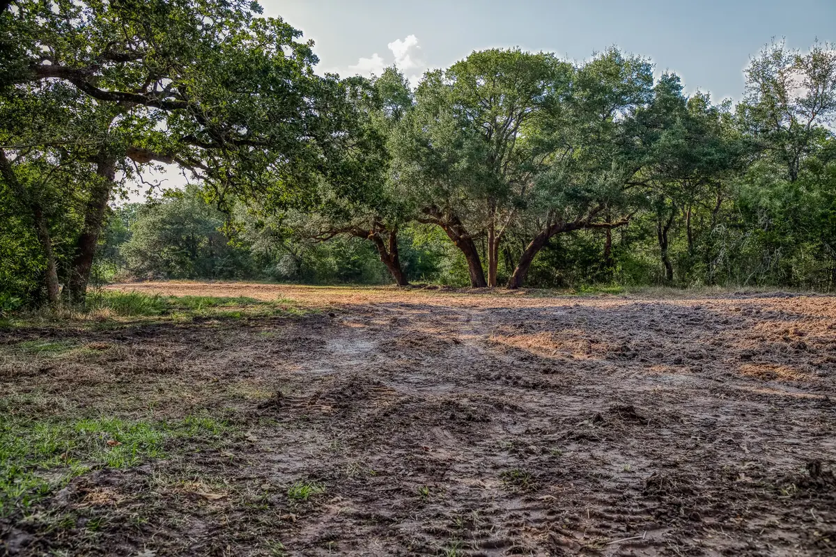 Tract 4 Sun Oil Road, Brenham, TX 77833 - Image #1