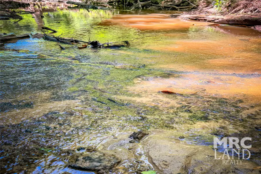 00 County Road 3173, Tenaha Joaquin, TX 75954 - Image #2