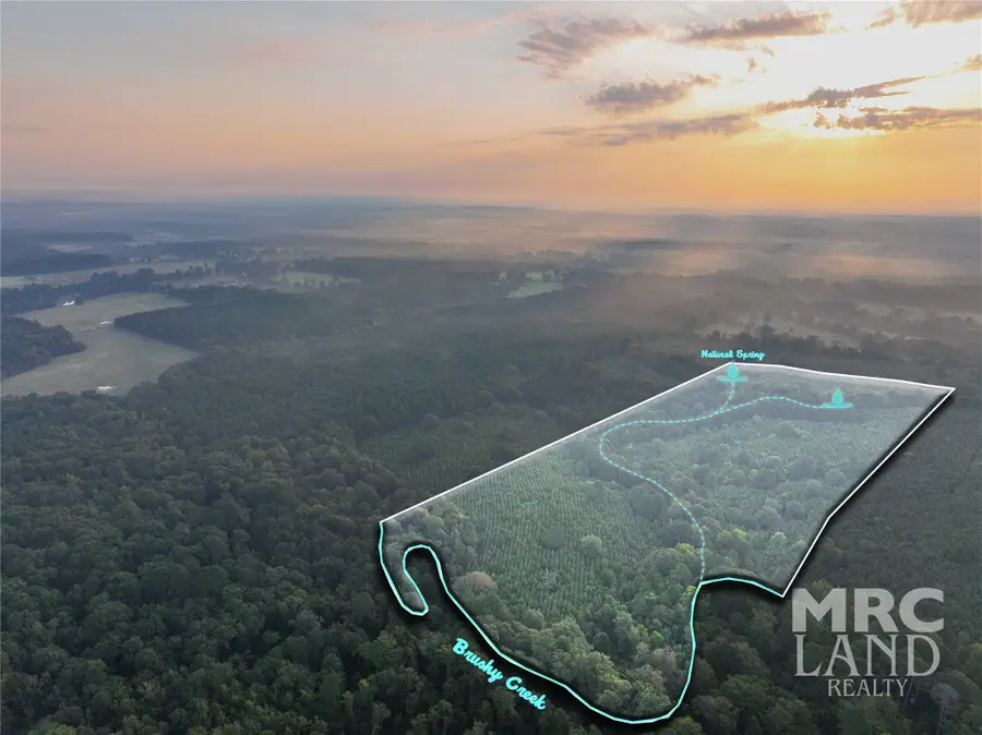 00 County Road 3173, Tenaha Joaquin, TX 75954 - Image #3