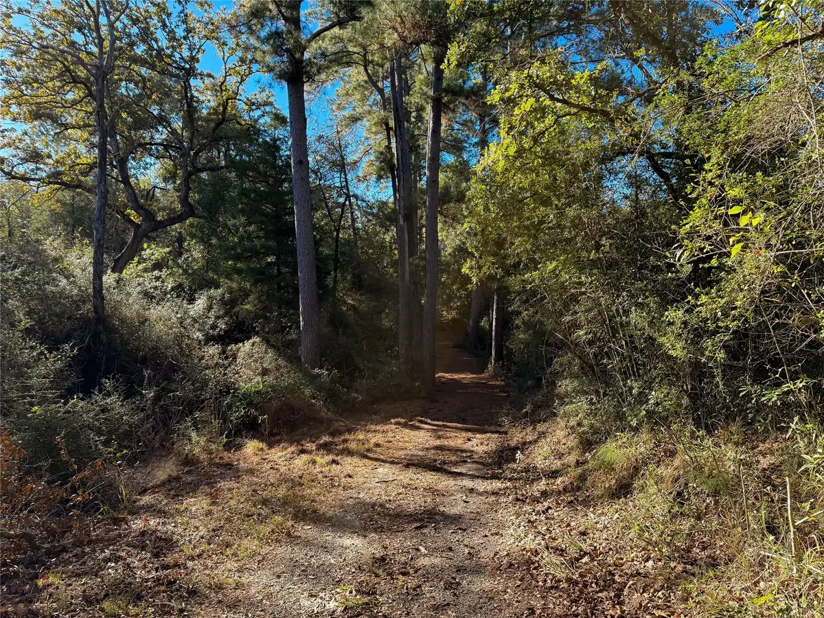 na Cr 325, Jewett, TX 75846 - Image #1