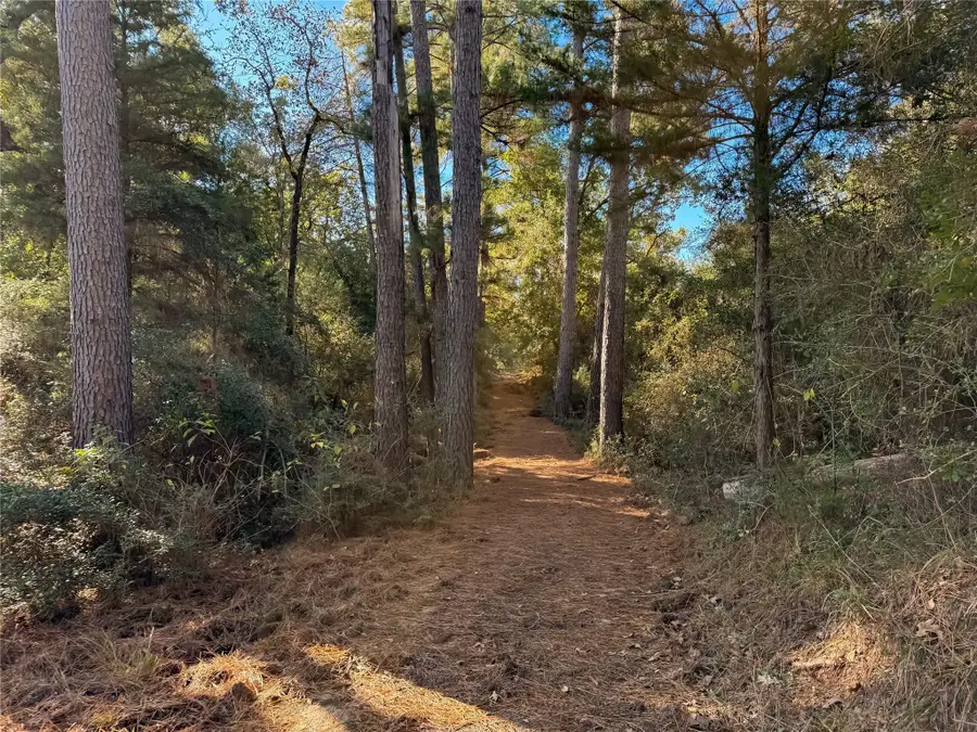 na Cr 325, Jewett, TX 75846 - Image #3