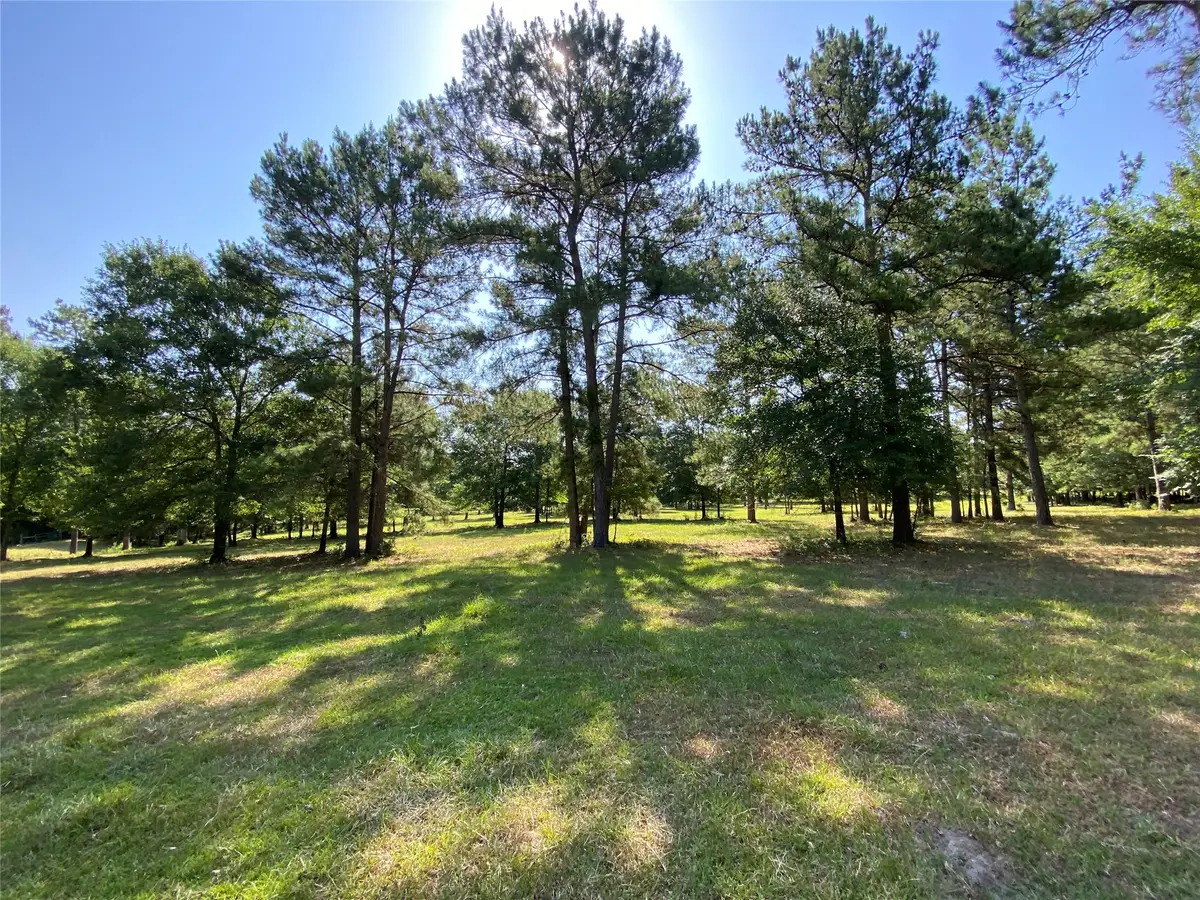 10642 County Road 446, Navasota, TX 77868 - #1
