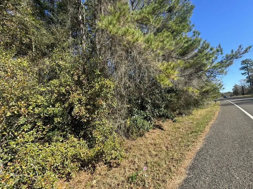 0 Caney Creek, Vidor, TX 77662 - Image #1