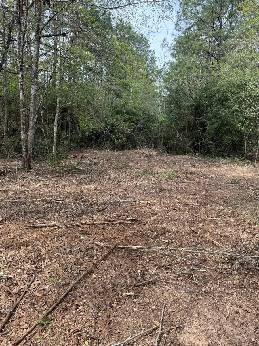 TBD Roughneck Road, Conroe, TX 77306 - Image #2