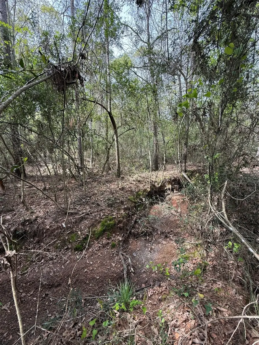 TBD Roughneck Road, Conroe, TX 77306 - Image #3