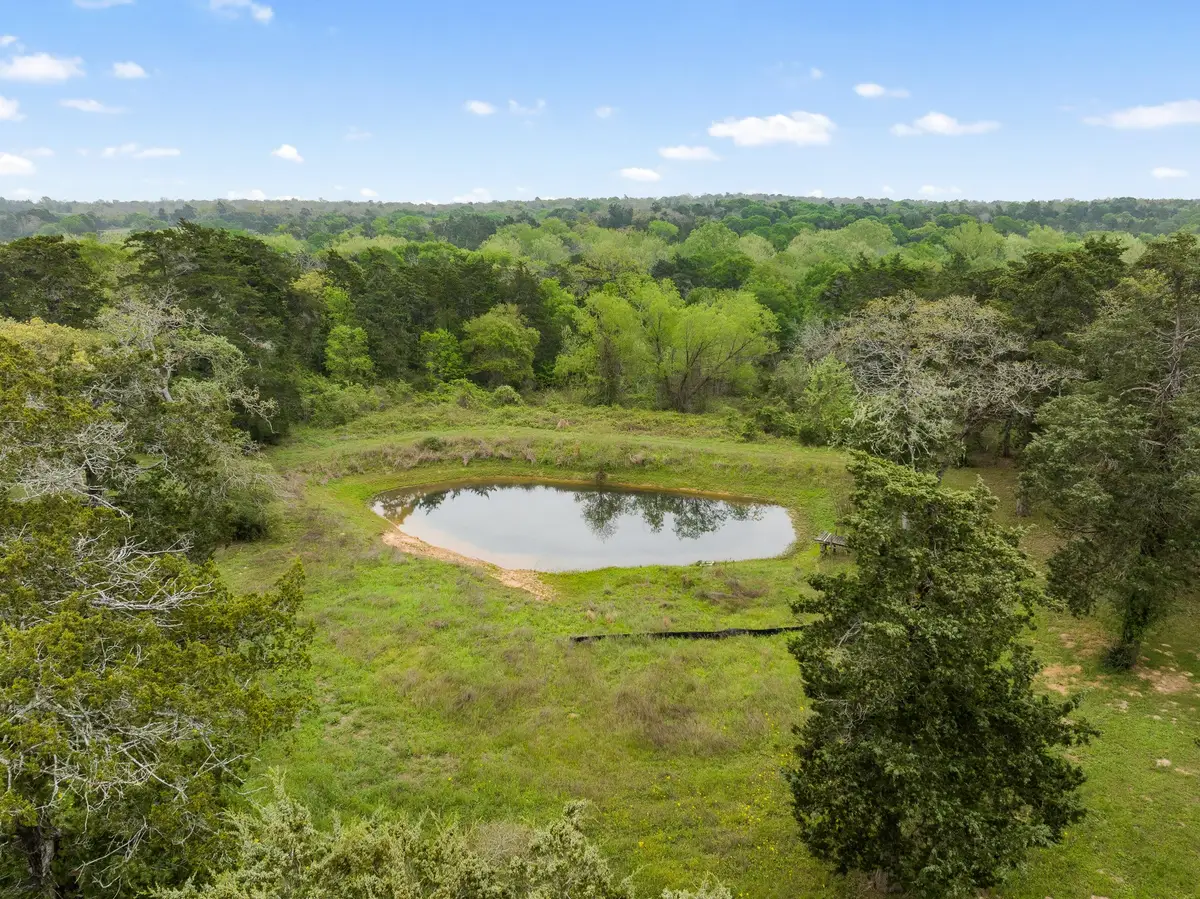 24661 Squirrel Road, New Ulm, TX 78950 - Image #1