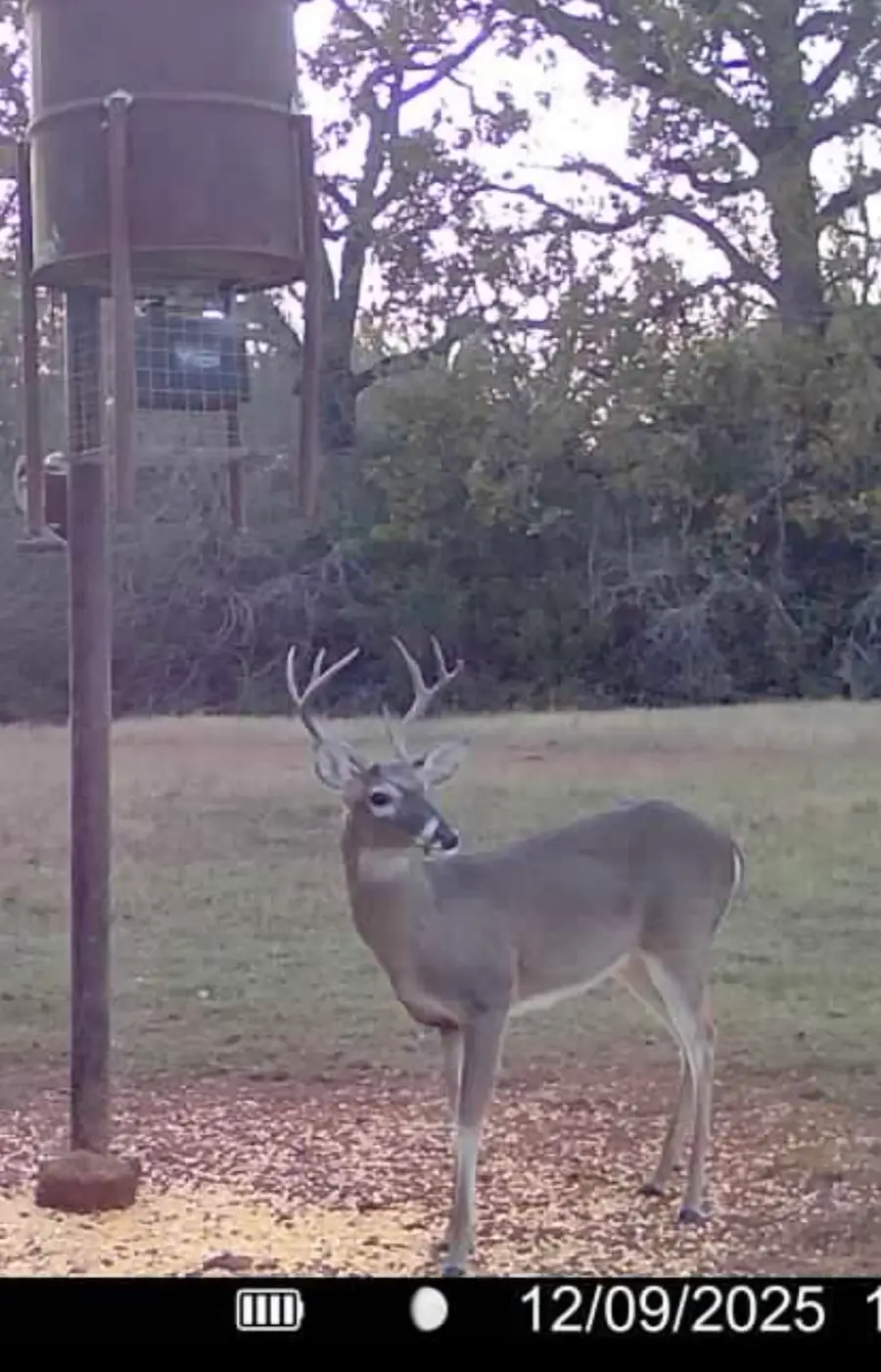 3713 Cr 386, Marquez, TX 77865 - #3