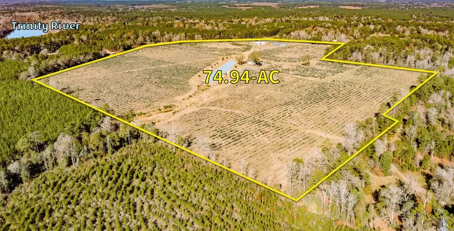 1201 Fm 2610, Livingston, TX 77351 - #3
