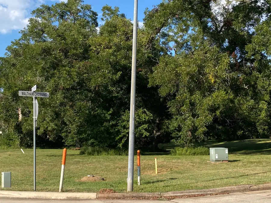 33110 Waltham Crossing, Fulshear, TX 77441 - Image #3