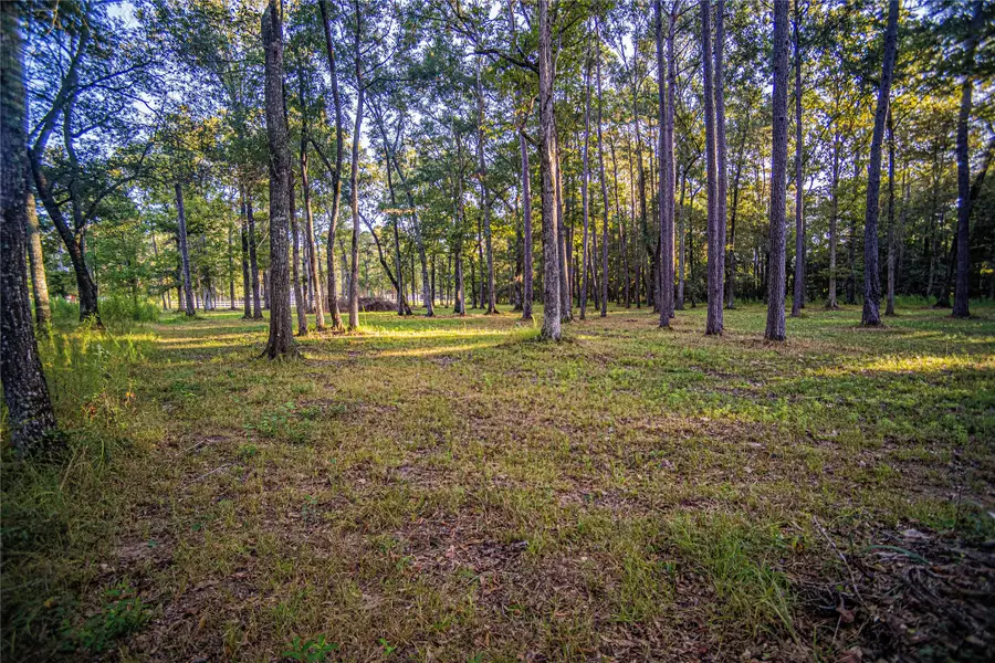 1319 County Road 3434 S, Cleveland, TX 77327 - #2