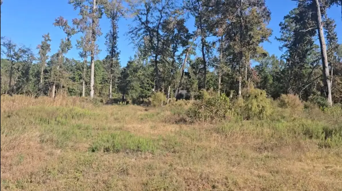 Tract C-3 Gaff Road, Magnolia, TX 77355 - #1