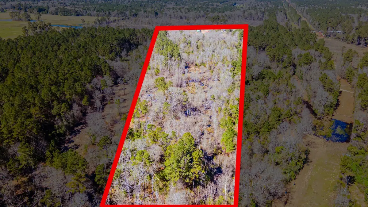 0 Shepherd Tram Drive, Shepherd, TX 77371 - Image #1