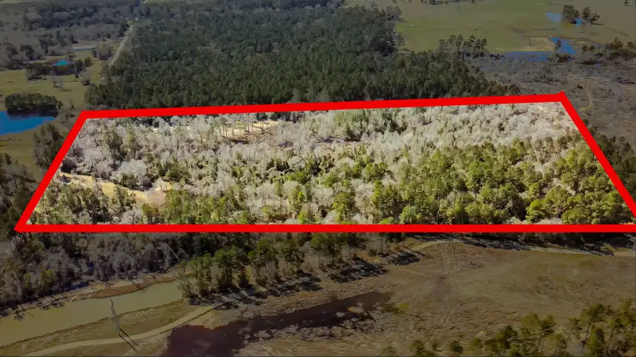 0 Shepherd Tram Drive, Shepherd, TX 77371 - Image #2