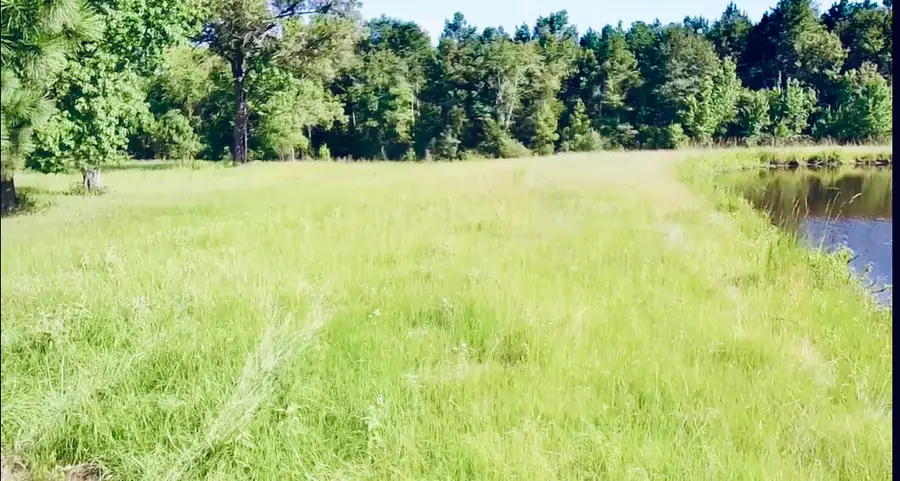 Tract 8 Live Oak Court, Crockett, TX 75835 - Image #2