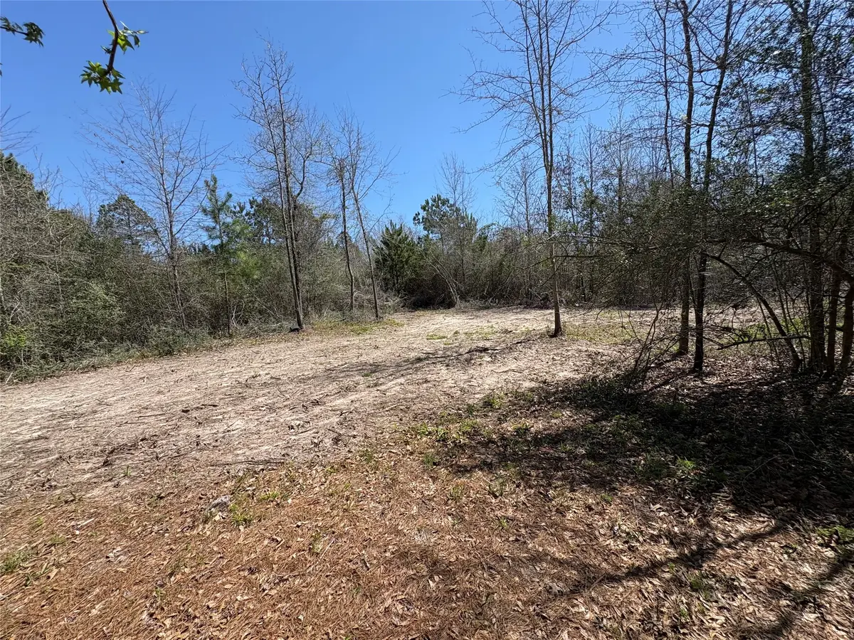 00 County Road 4180, Lovelady, TX 75851 - #1