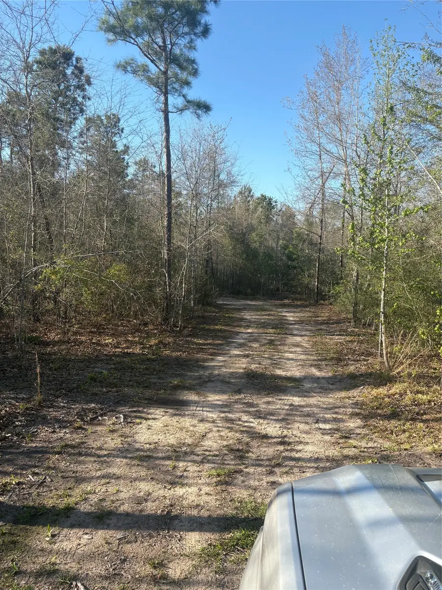 00 County Road 4180, Lovelady, TX 75851 - #2