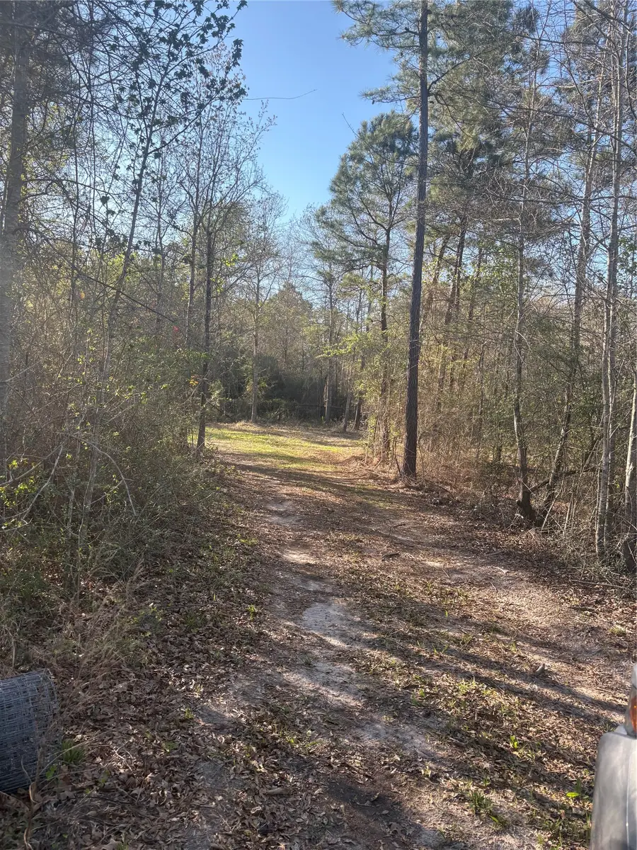 00 County Road 4180, Lovelady, TX 75851 - #3