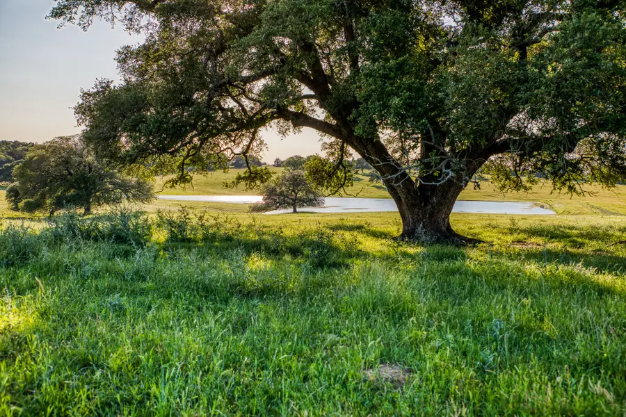 7000 W Farm To Market Road 332 Road W, Brenham, WA 77833 - #2